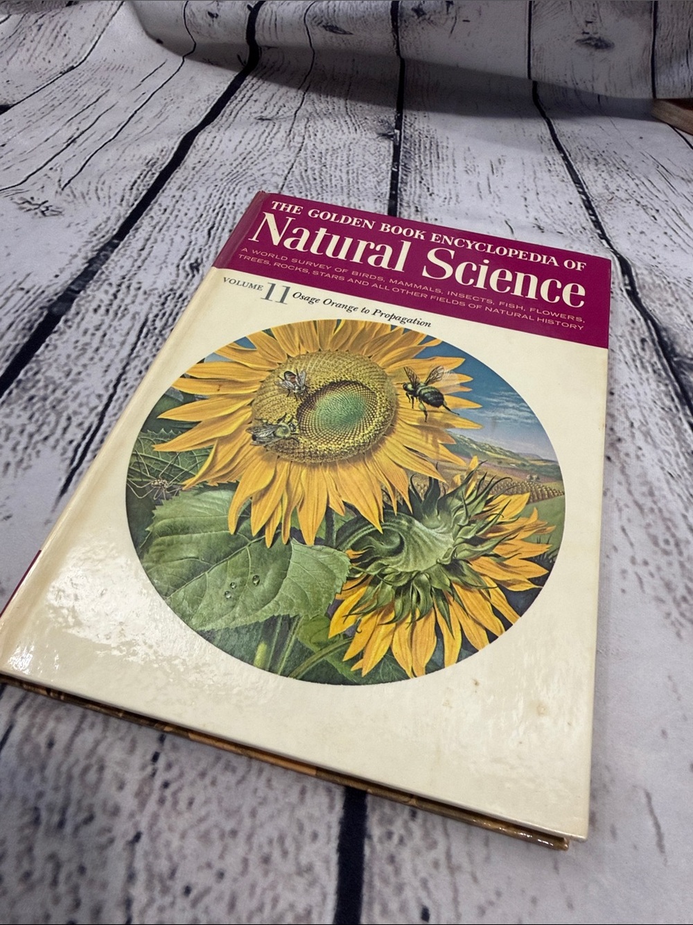 The Golden Book Encyclopedia of Natural Science - White & Yellow Cover Volume 11